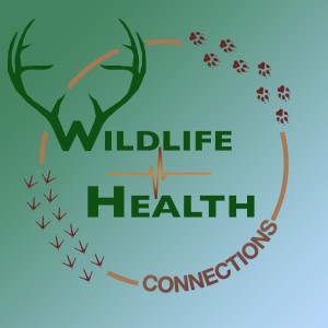 Wildlife Health Connections