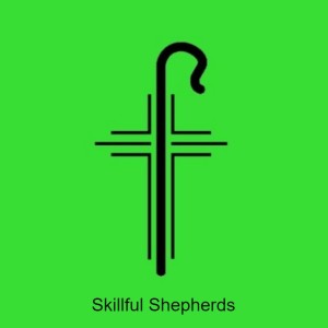 Skillful Shepherds