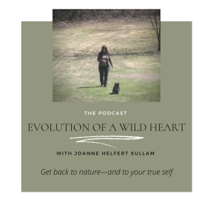 Evolution of a Wild Heart Podcast