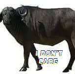hjf139870377897528