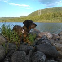 beutha