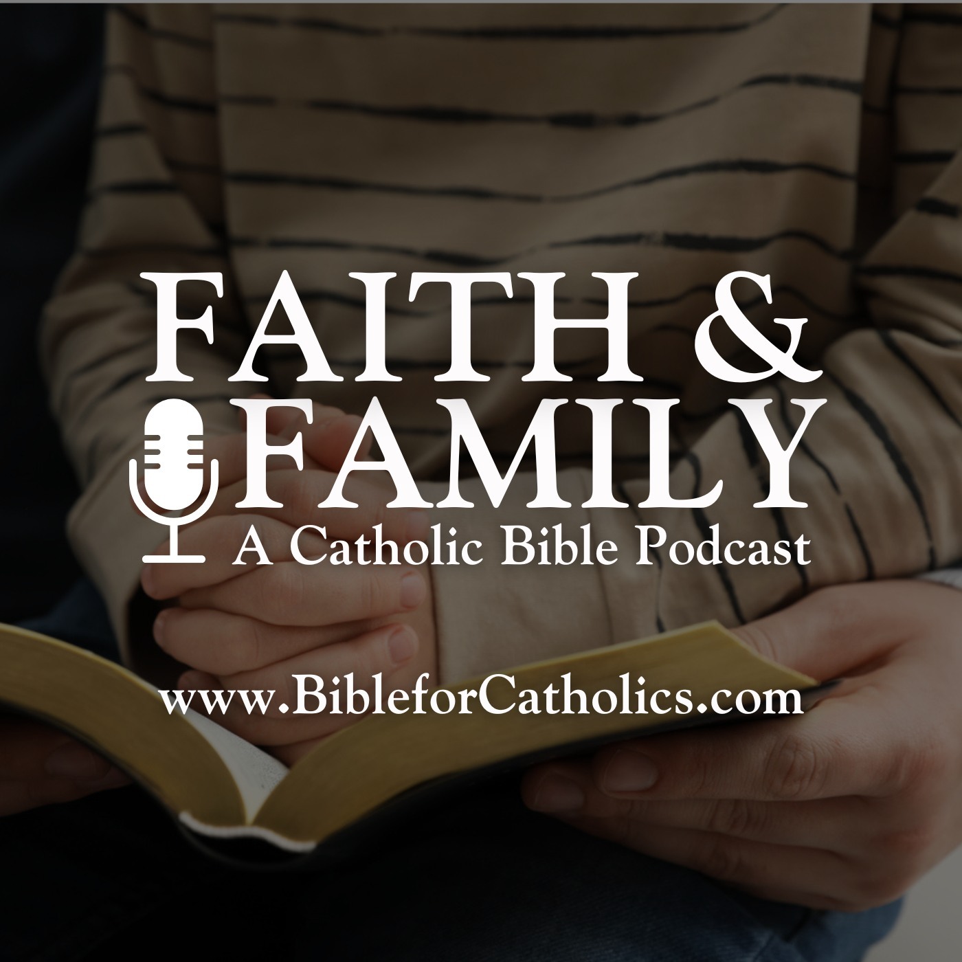 Faith & Family Bible Podcast with Steve Wood