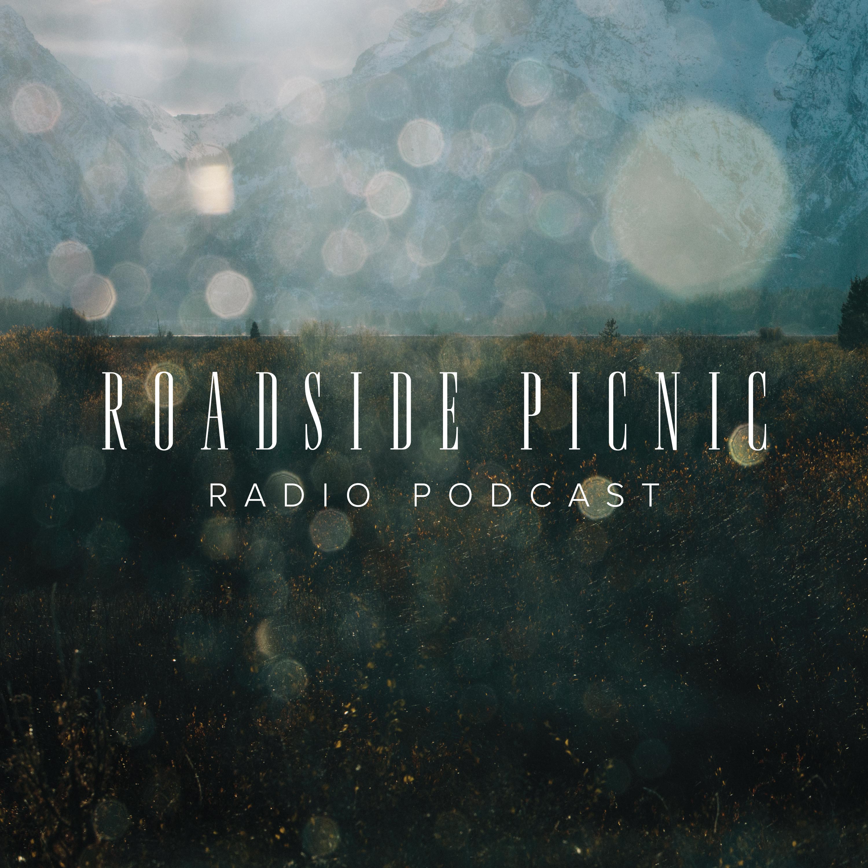 ROADSIDE PICNIC