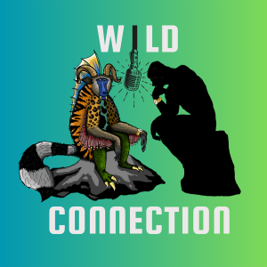 Wild Connection