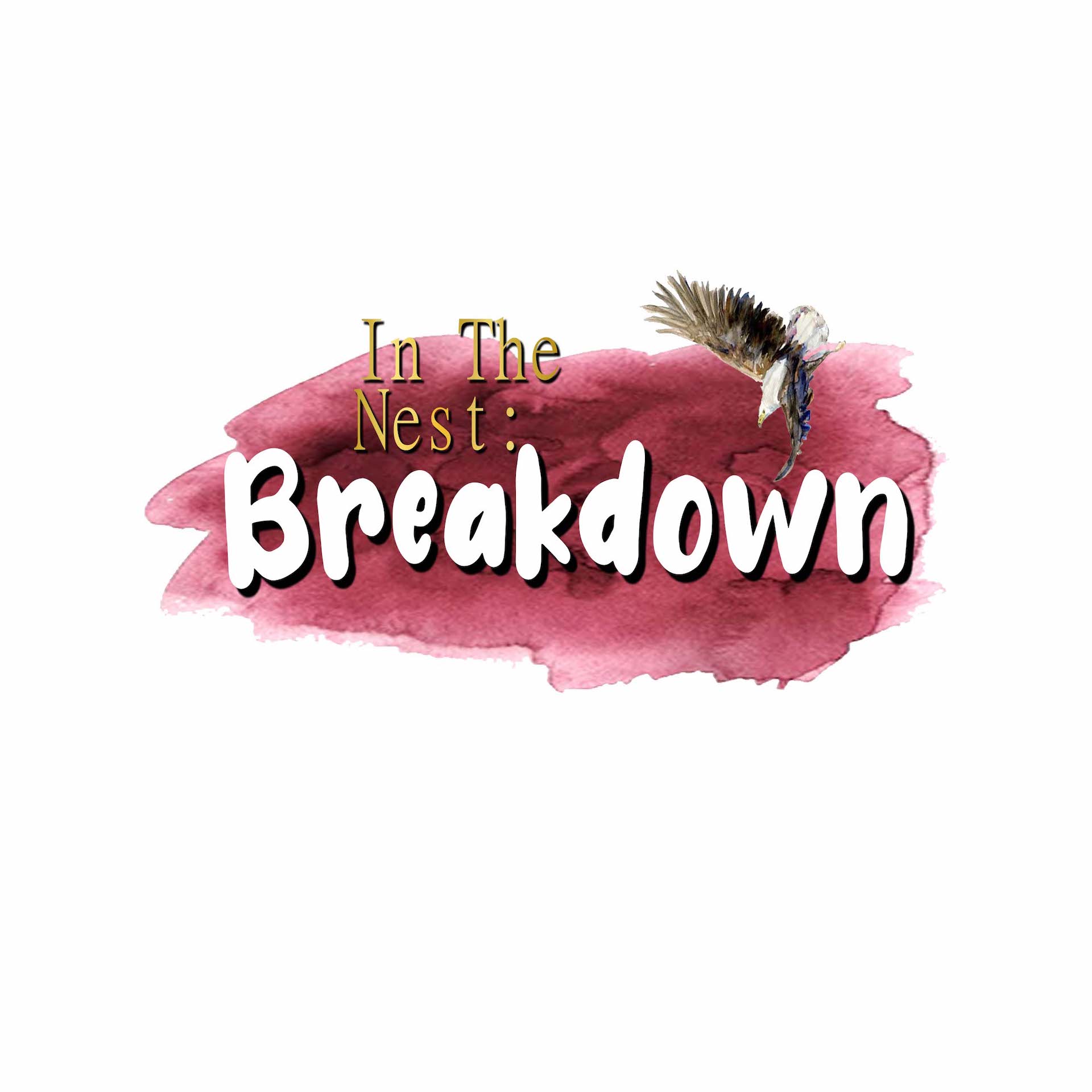 In the Nest: Breakdown
