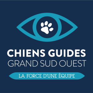 Guide n°46 : dossier "nos chiens guides en action"