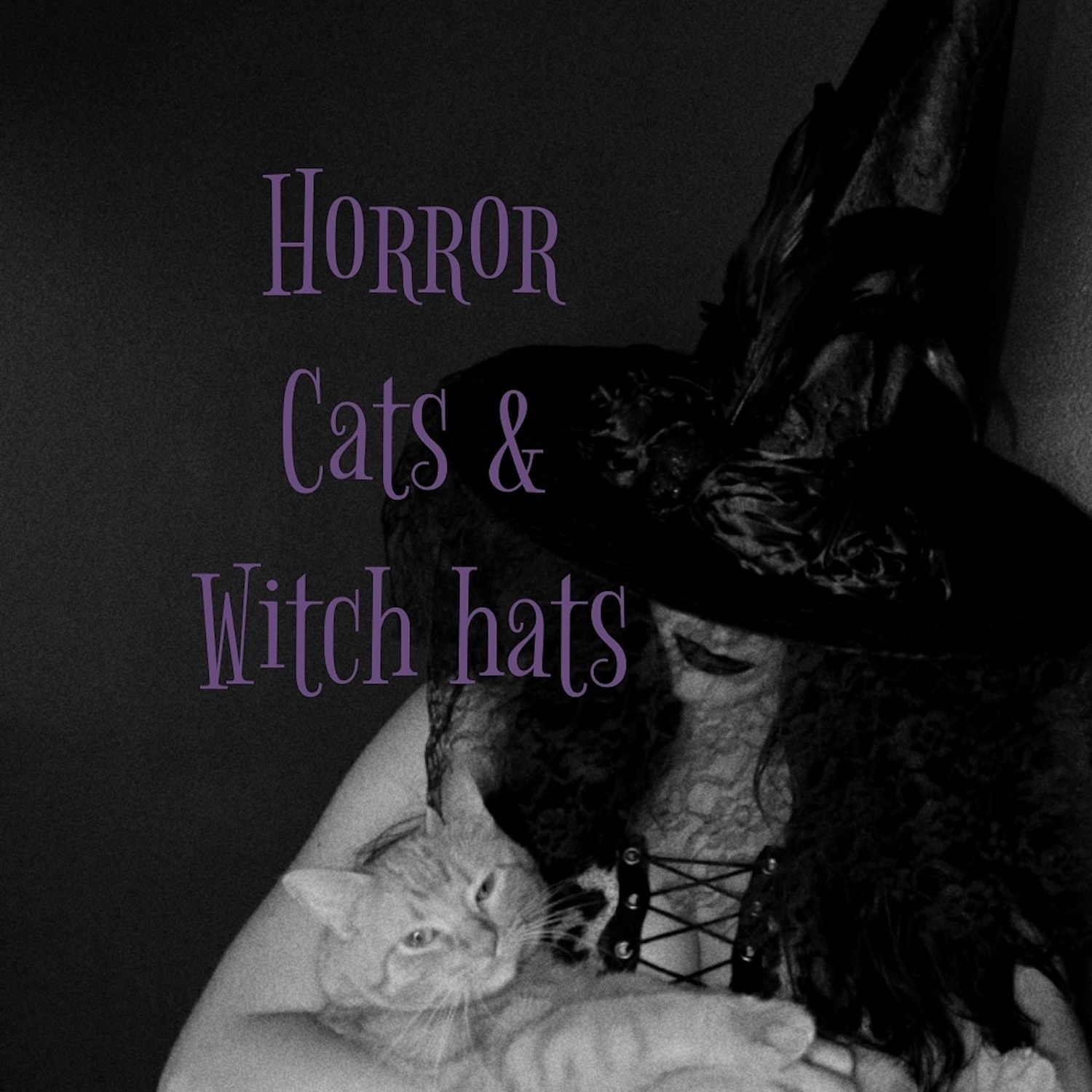 Horror, Cats, and Witch Hats | horrorcatswitchhats