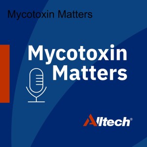 #30 The heightened risk of Penicillium mycotoxins in European forages | Dr. Max Hawkins & Aislínn Campbell