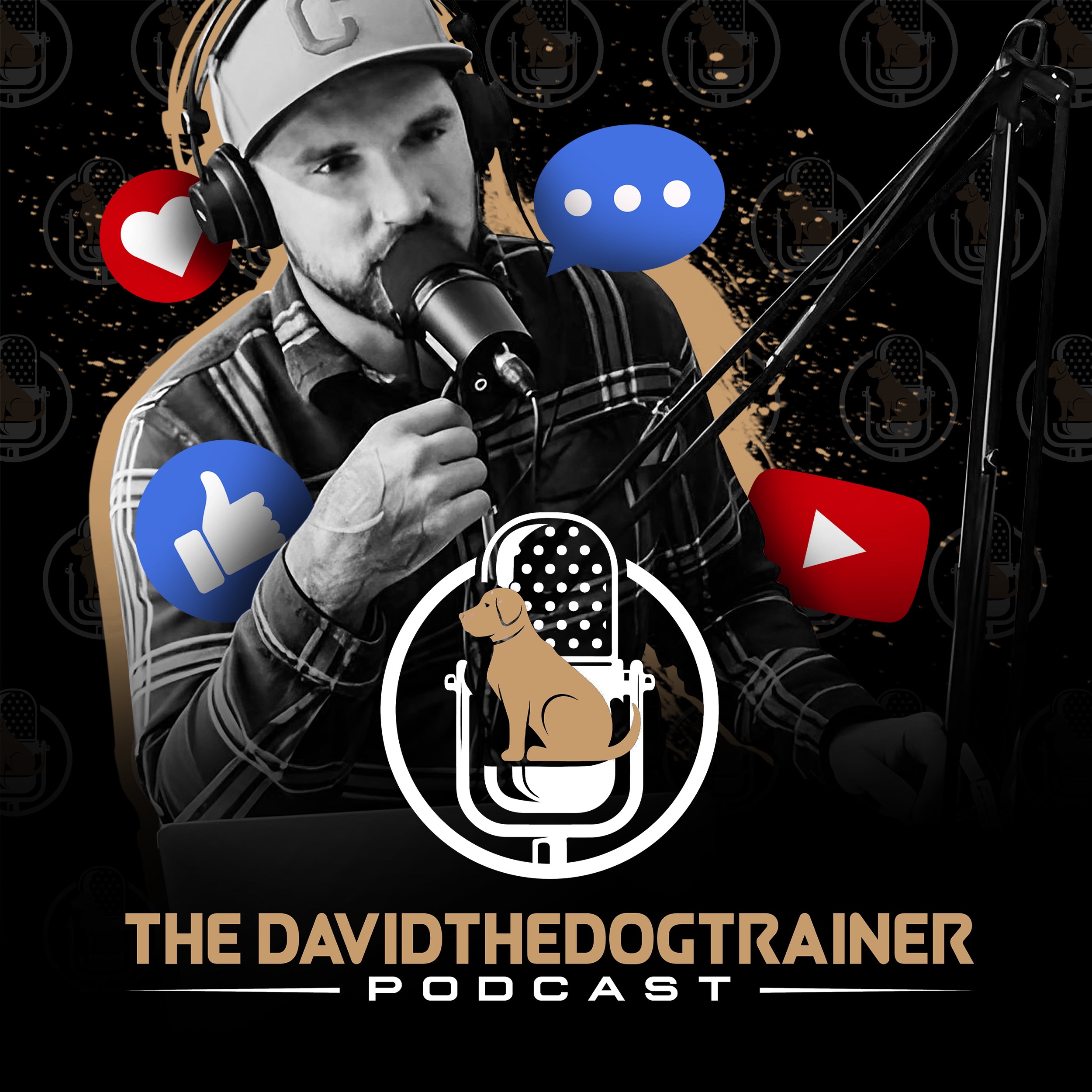The Davidthedogtrainer Podcast