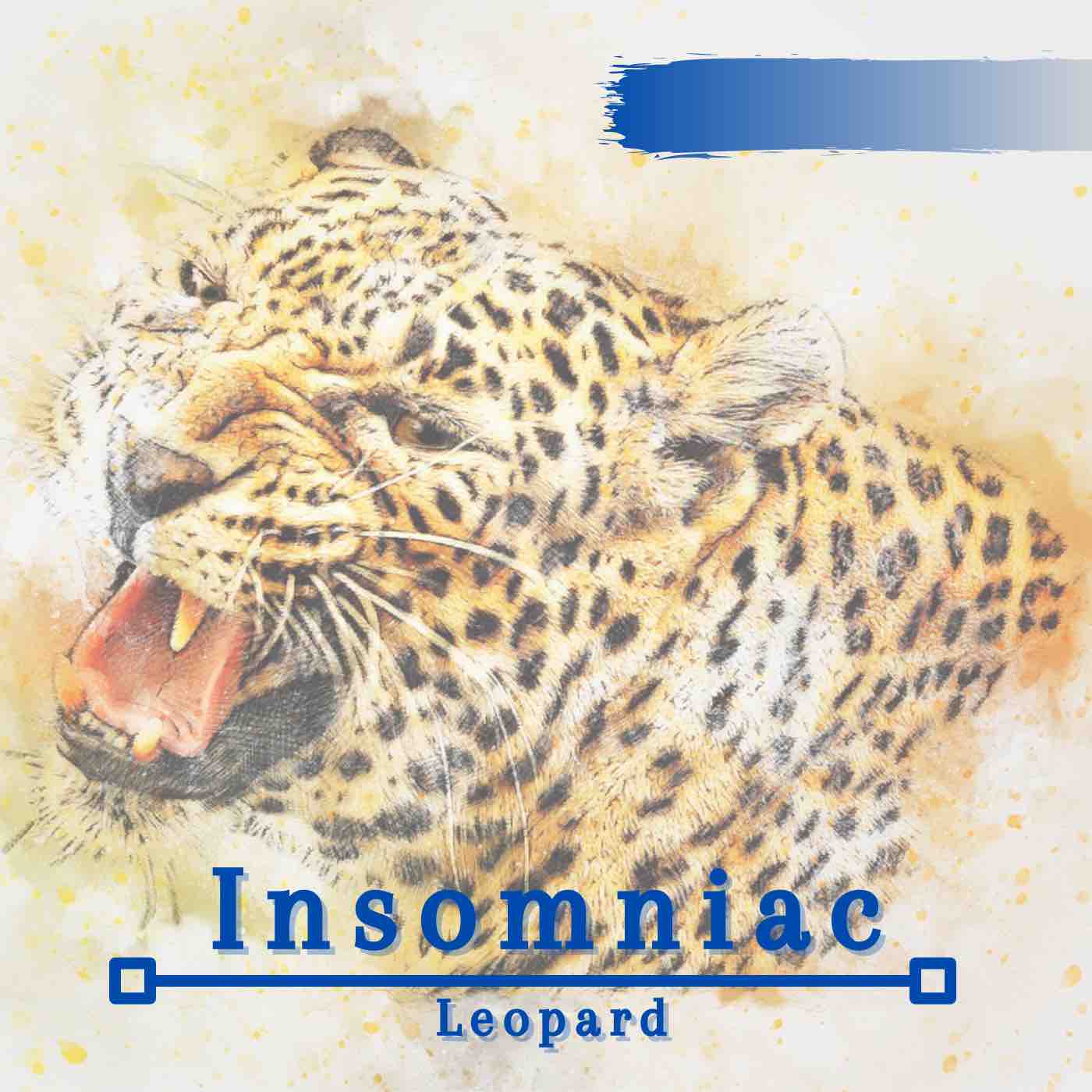 Insomniac Leopard