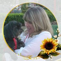 Judy Lamb