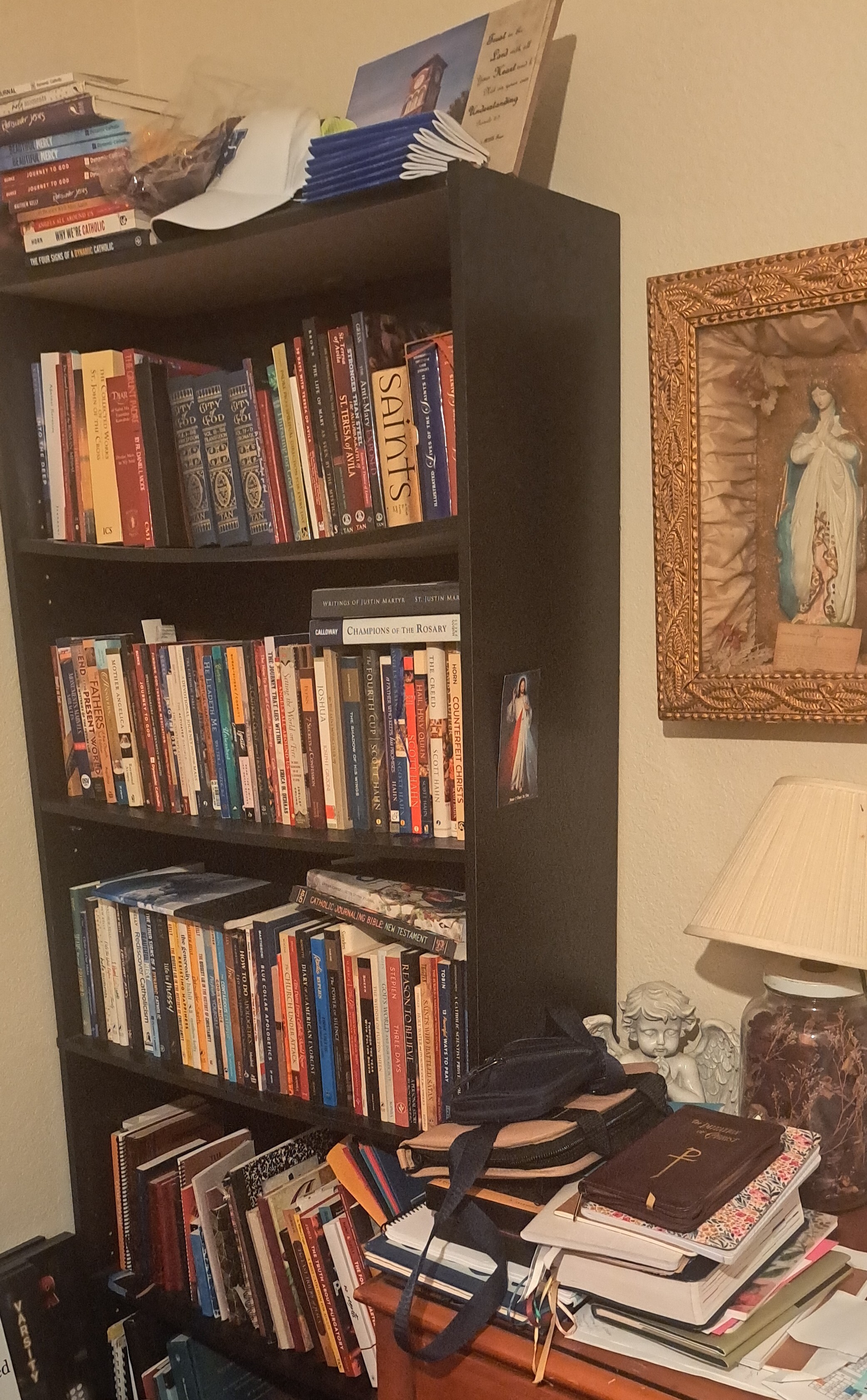 Suzette’s Catholic Library