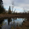 michigan5764