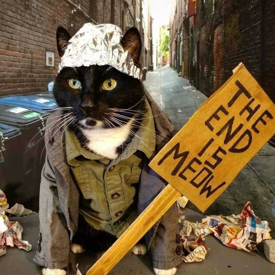 MiredNomad