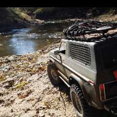 dgrisham525