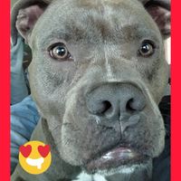 michelelm34