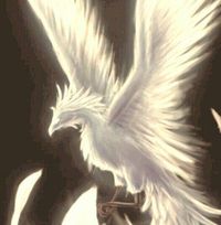 angeldionne1