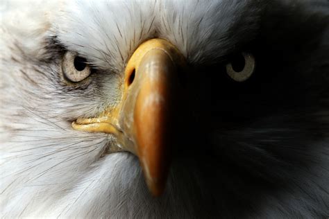 DeanOfLIberty