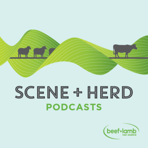 Scene + Herd: Podcasts from Beef + Lamb New Zealand