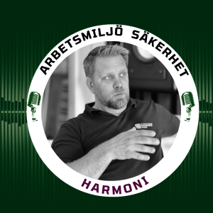 Anders Gozzi | Ledarskap och värdegrund i AIK Hockey