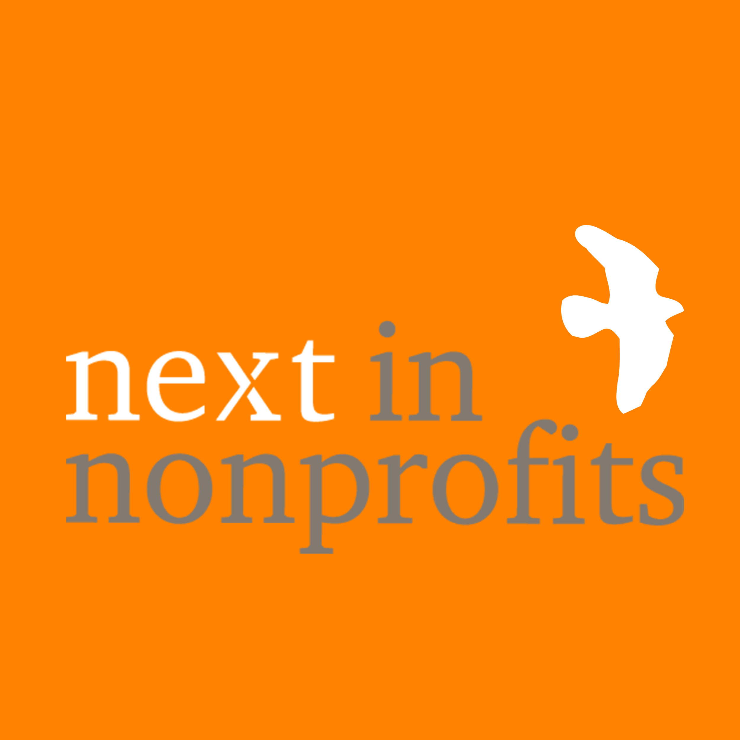 Next in Nonprofits