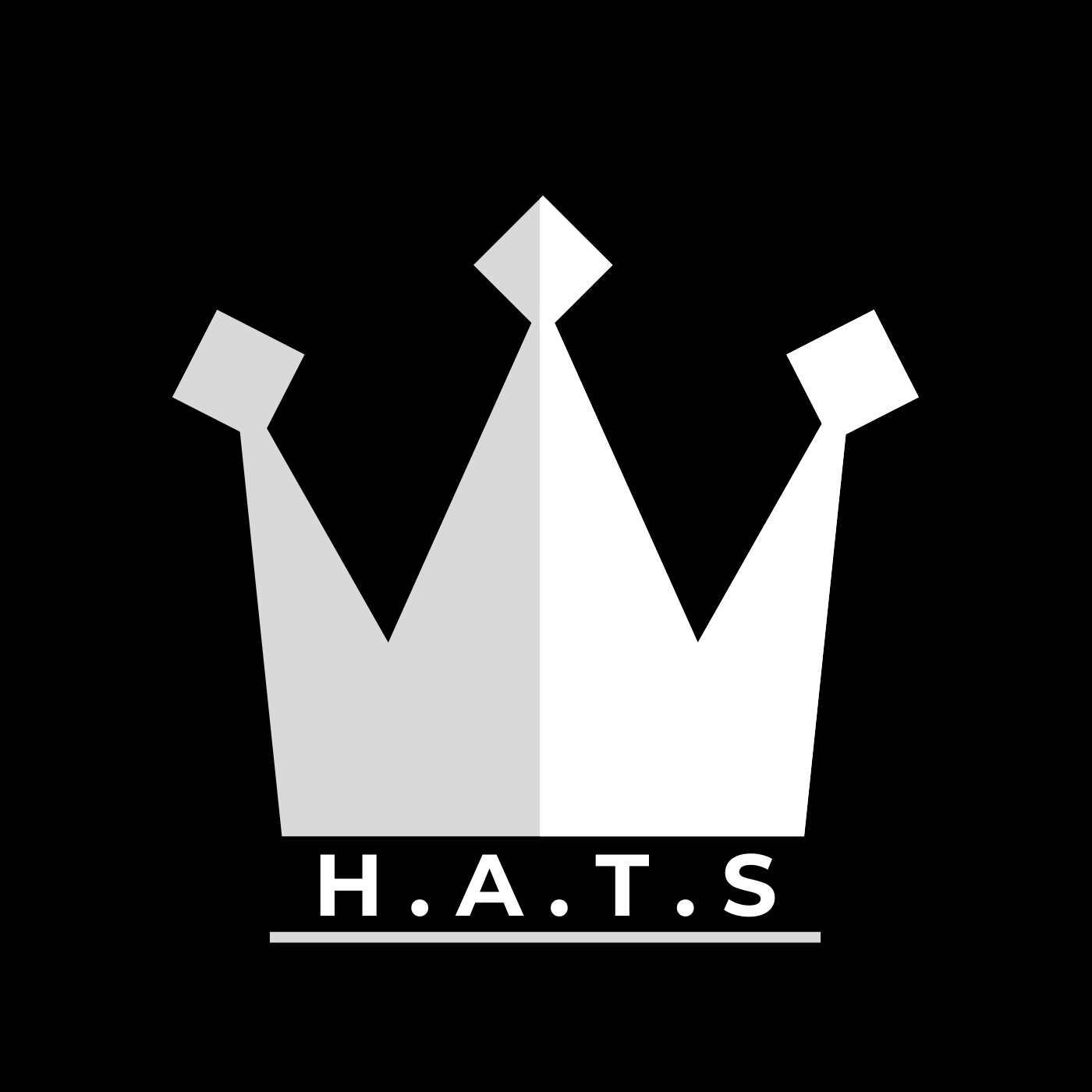 Hidden Among The Stuff cover art