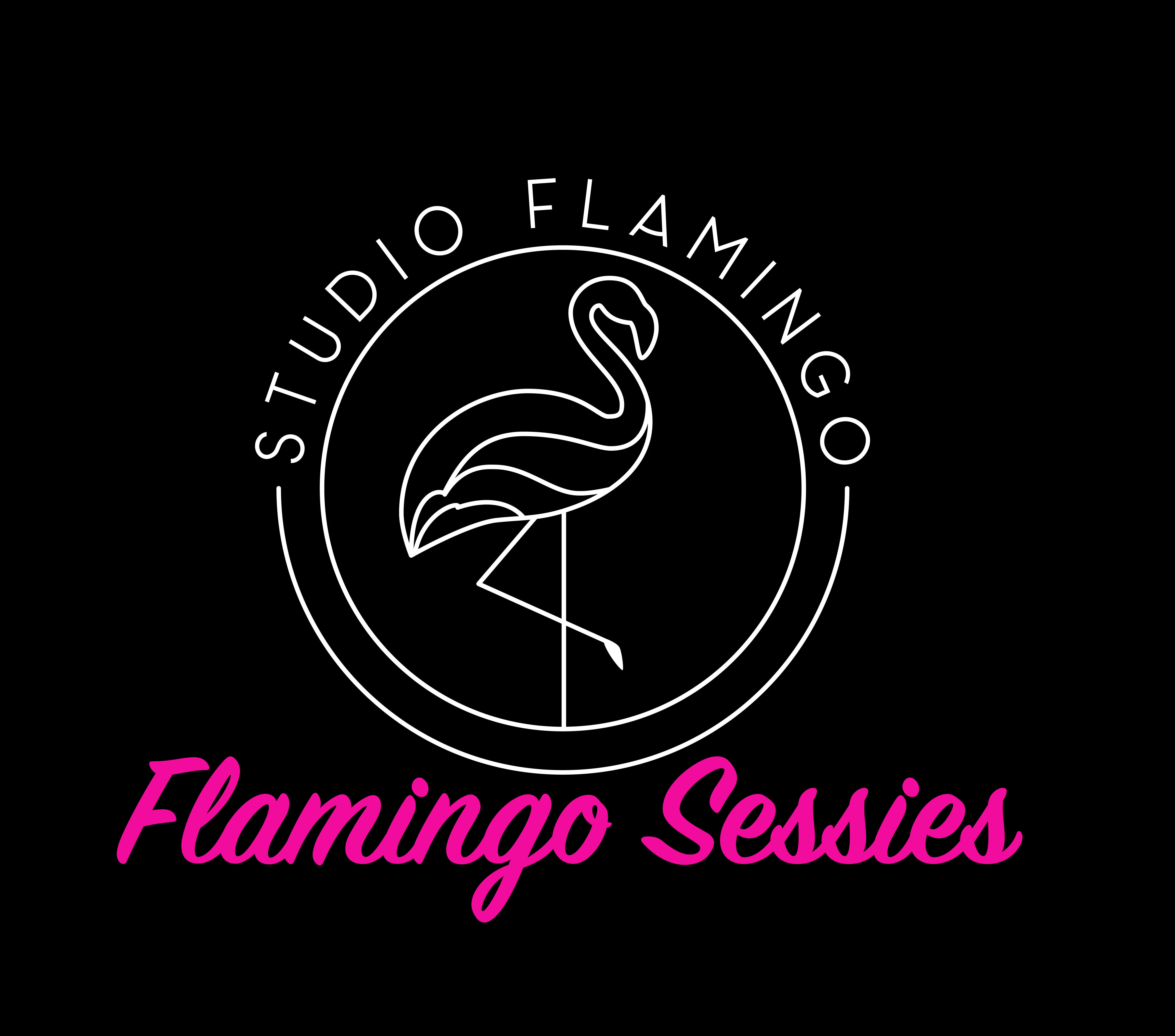 Flamingo Sessies