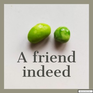 A friend indeed