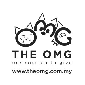 An Introduction to The OMG!