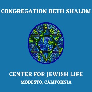 The Rabbi's Reflections by R' Shalom Bochner