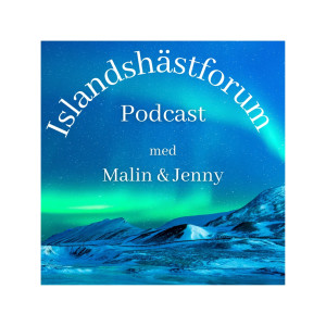 Islandshästforum Podcast Avsnitt 2 Etik- om varför vi får rida och vart gränsen går