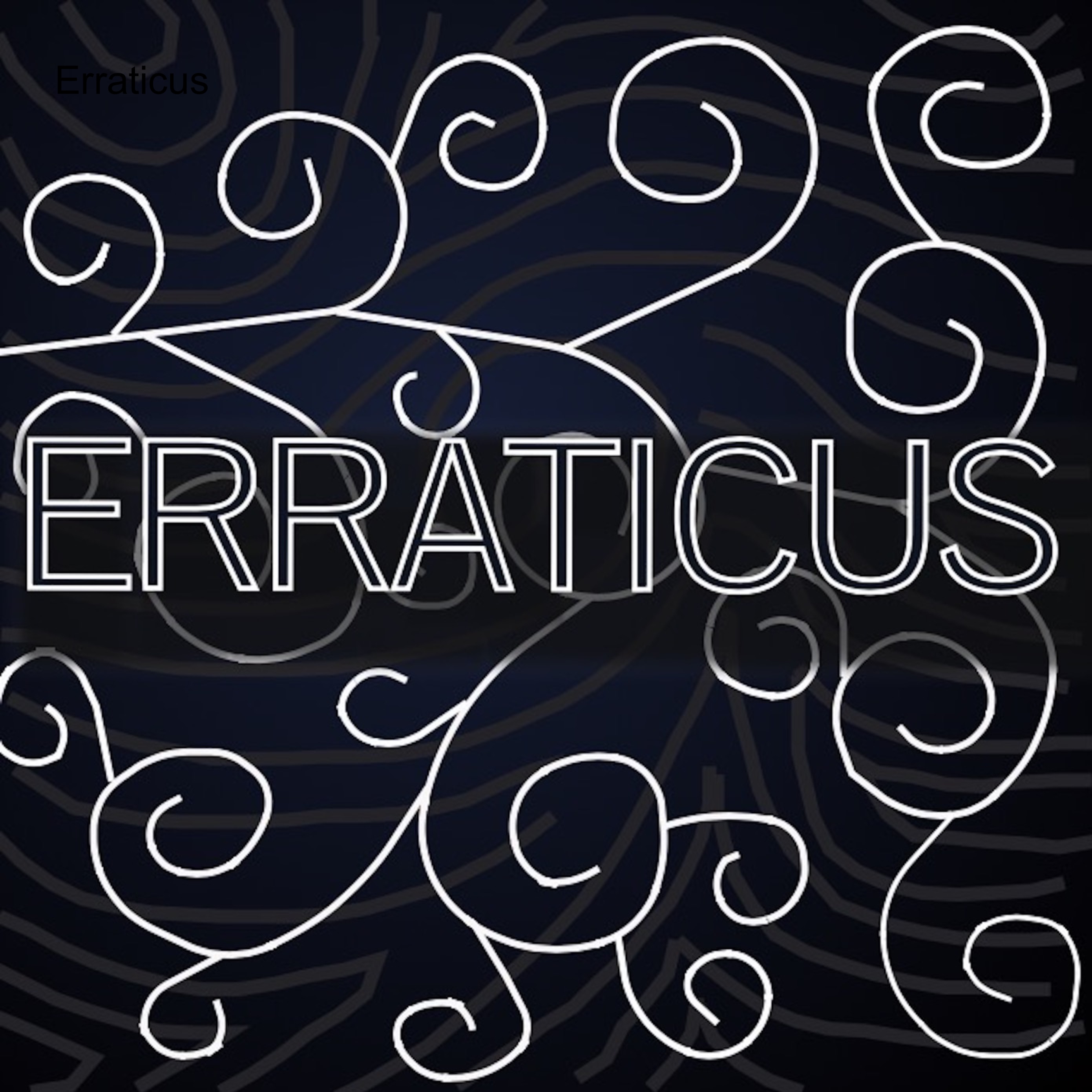 Erraticus