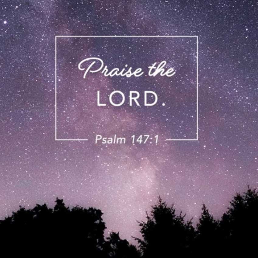pilgrim