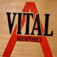 vitalaquaponics