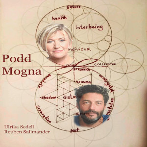 Podd Mogna