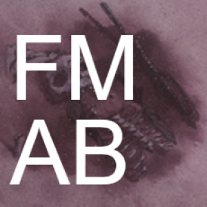 Transformation Sequence: FMA:B Reviews