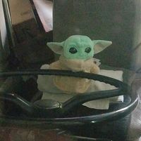 volkswagensteve1971