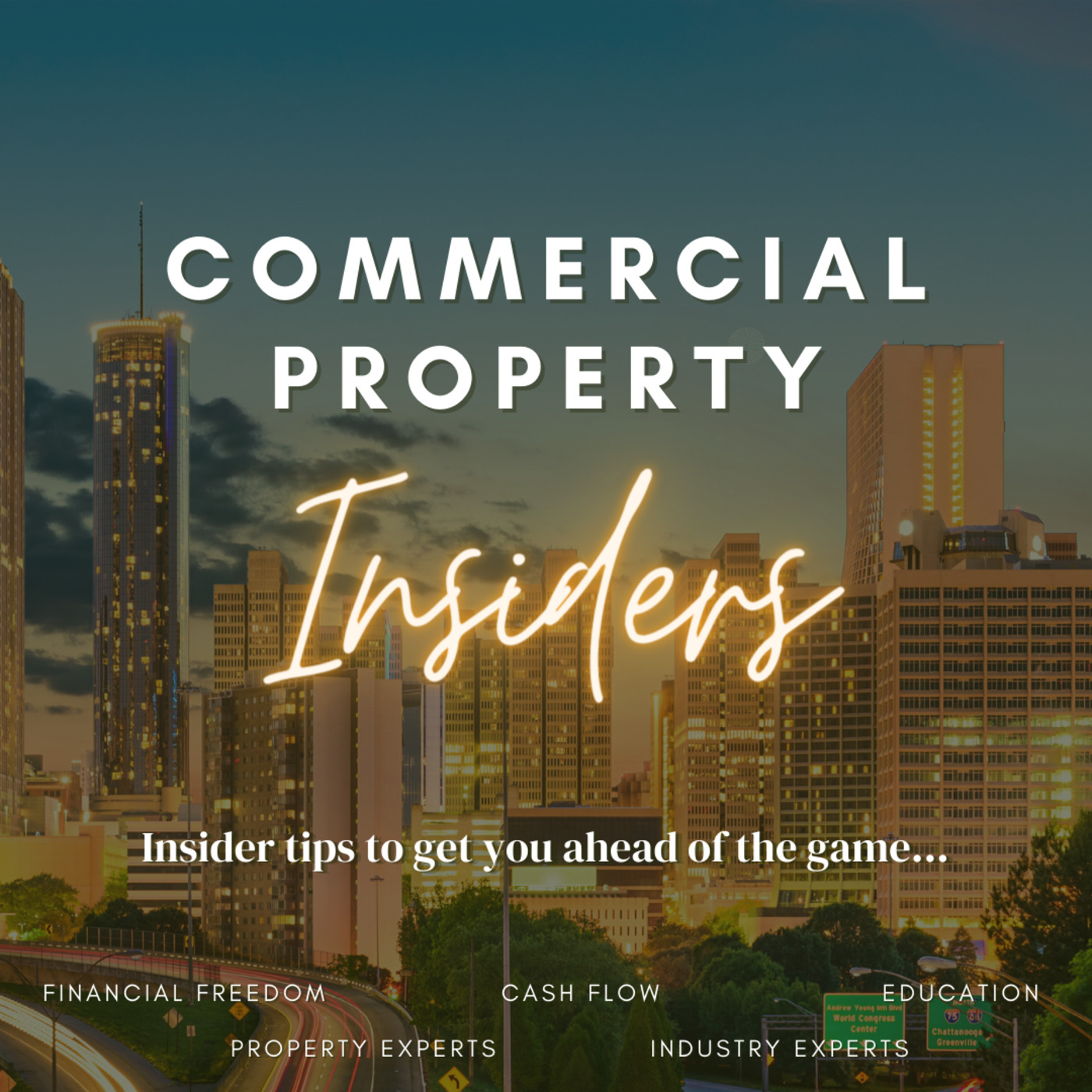 COMMERCIAL PROPERTY INSIDERS