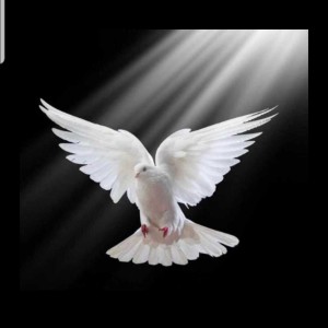 TIME  WITH GOD LET PRAY  TILL  THE  HOLY SPIRIT SPEAK  TO US