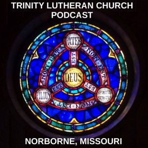 Divine Service Digest - Holy Trinity Sunday 05.26.24