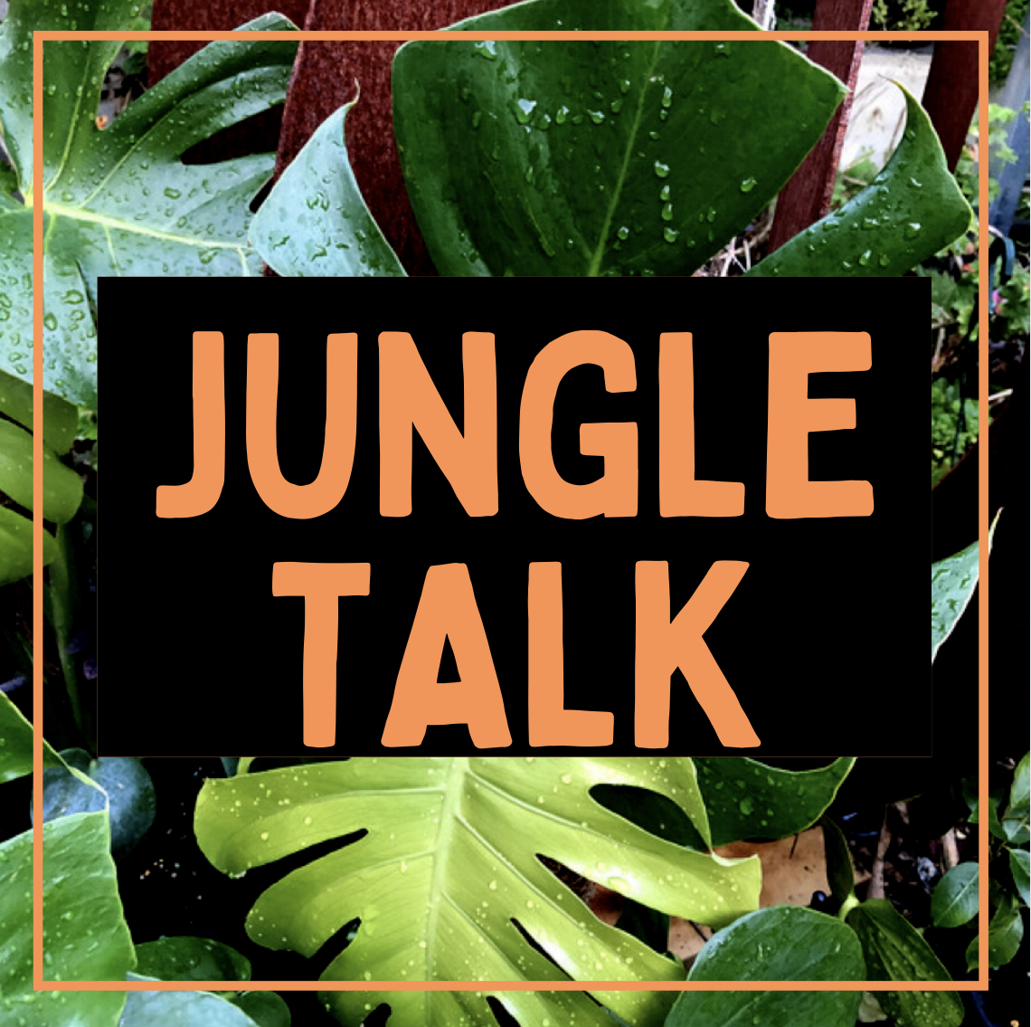 Jungle Talk - The Houseplant Podcast
