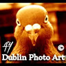 dublinphotoart