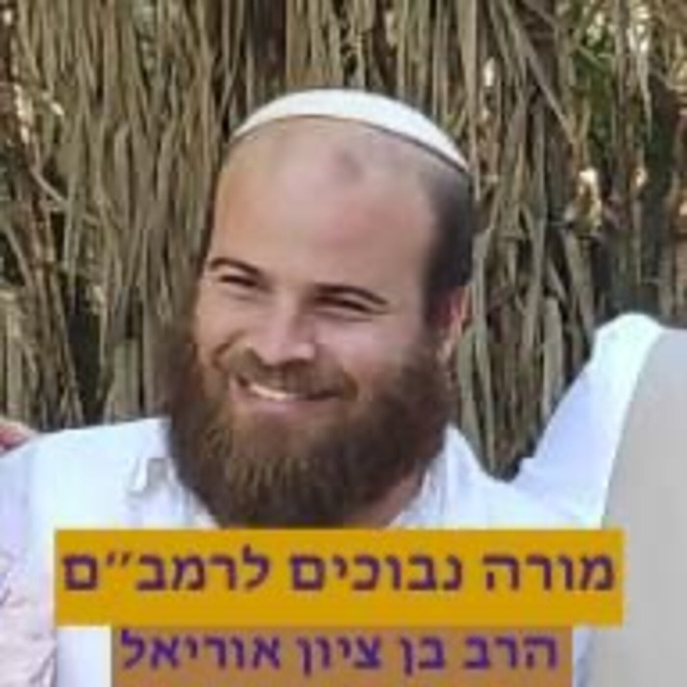 מורה נבוכים לרמב״ם