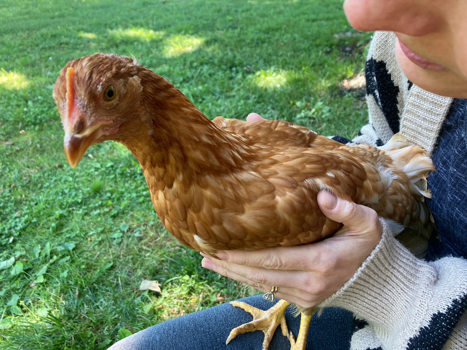 Big Chicken