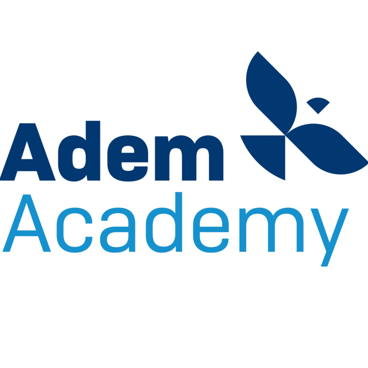 Adem Academy - IJSpiratie