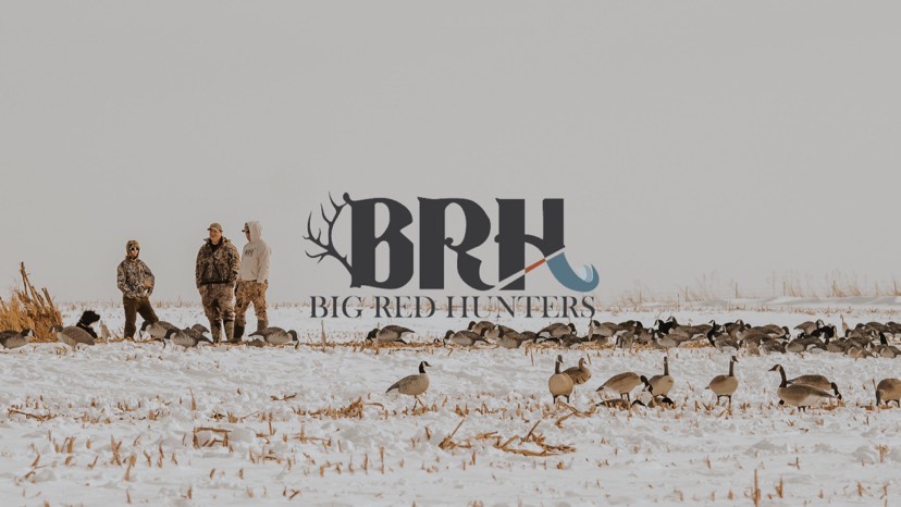 Profile logo