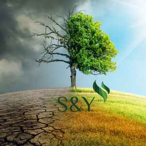 Sustainability & You Episode 6 - Sean Kidney