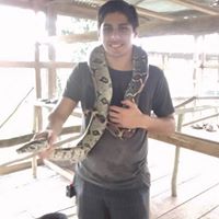 alvarodelgado15