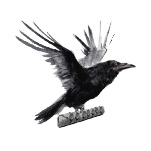 Vaping Raven - Life of Vapor