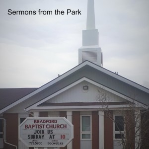Sermons from the Park